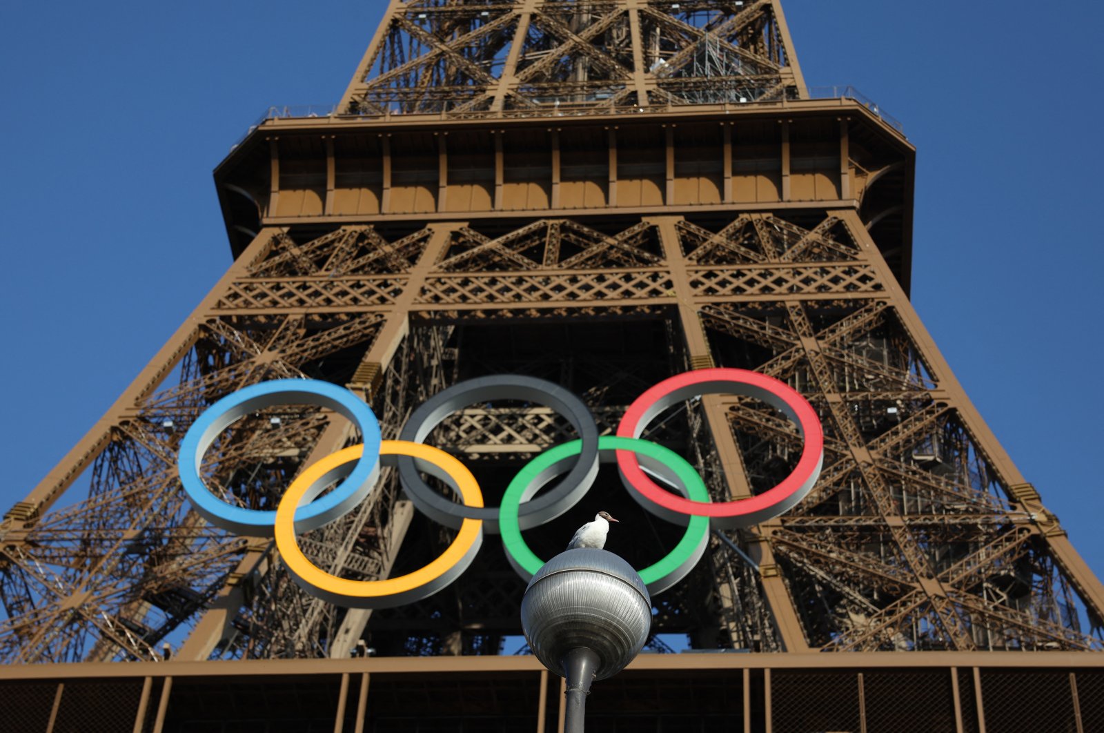 A bird is pictured as the Olympic rings are seen on the Eiffel Tower ahead of the Paris 2024 Olympic and Paralympic Games, Paris, France, July 21, 2024. (Reuters Photo)