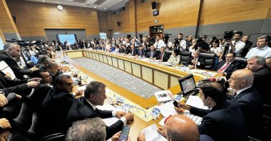 Lawmakers debate an animal protection bill at a subcommittee meeting at Parliament, Ankara, Türkiye, July 17, 2024. (DHA Photo)