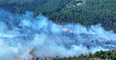 A fire broke out in Aydos Forest in Pendik, Istanbul, Türkiye, July 21, 2024. (AA Photo)