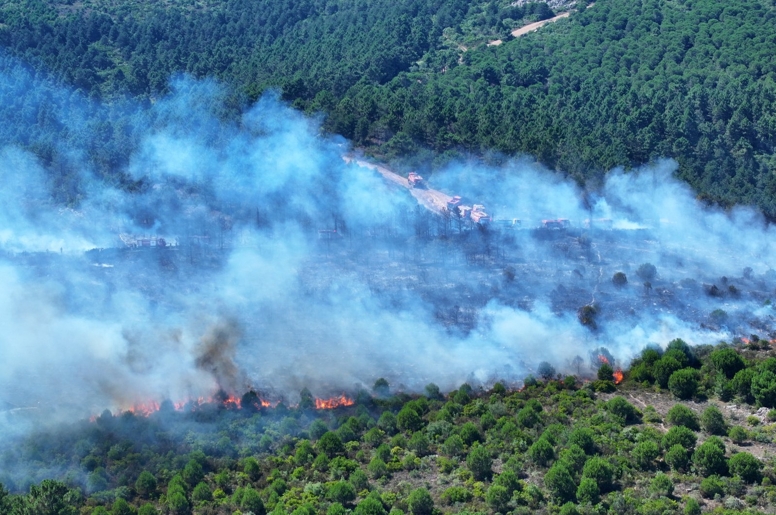 A fire broke out in Aydos Forest in Pendik, Istanbul, Türkiye, July 21, 2024. (AA Photo)