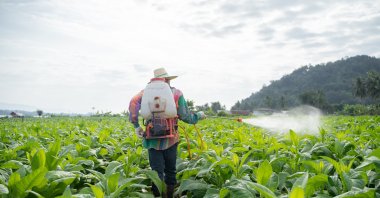 Toxic "forever chemicals" are increasingly being used in U.S. pesticides, threatening human health as they contaminate waterways and are sprayed on staple foods. (Getty Images)