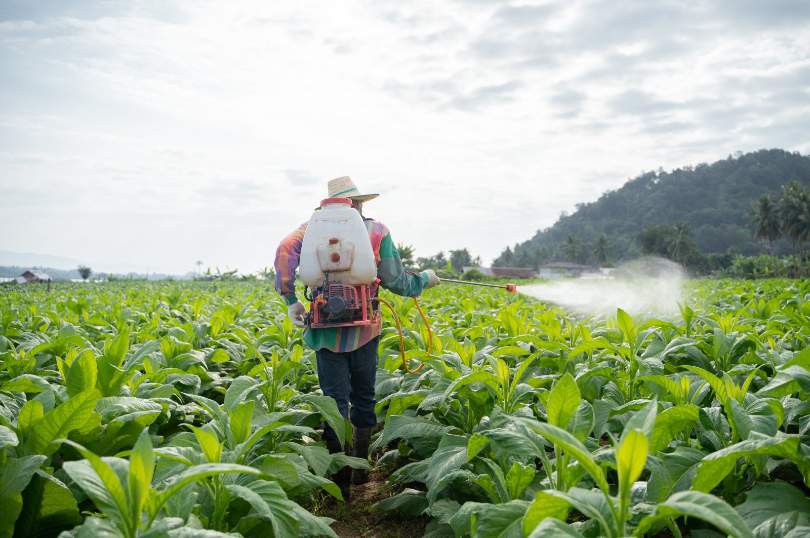 Toxic &quot;forever chemicals&quot; are increasingly being used in U.S. pesticides, threatening human health as they contaminate waterways and are sprayed on staple foods. (Getty Images)