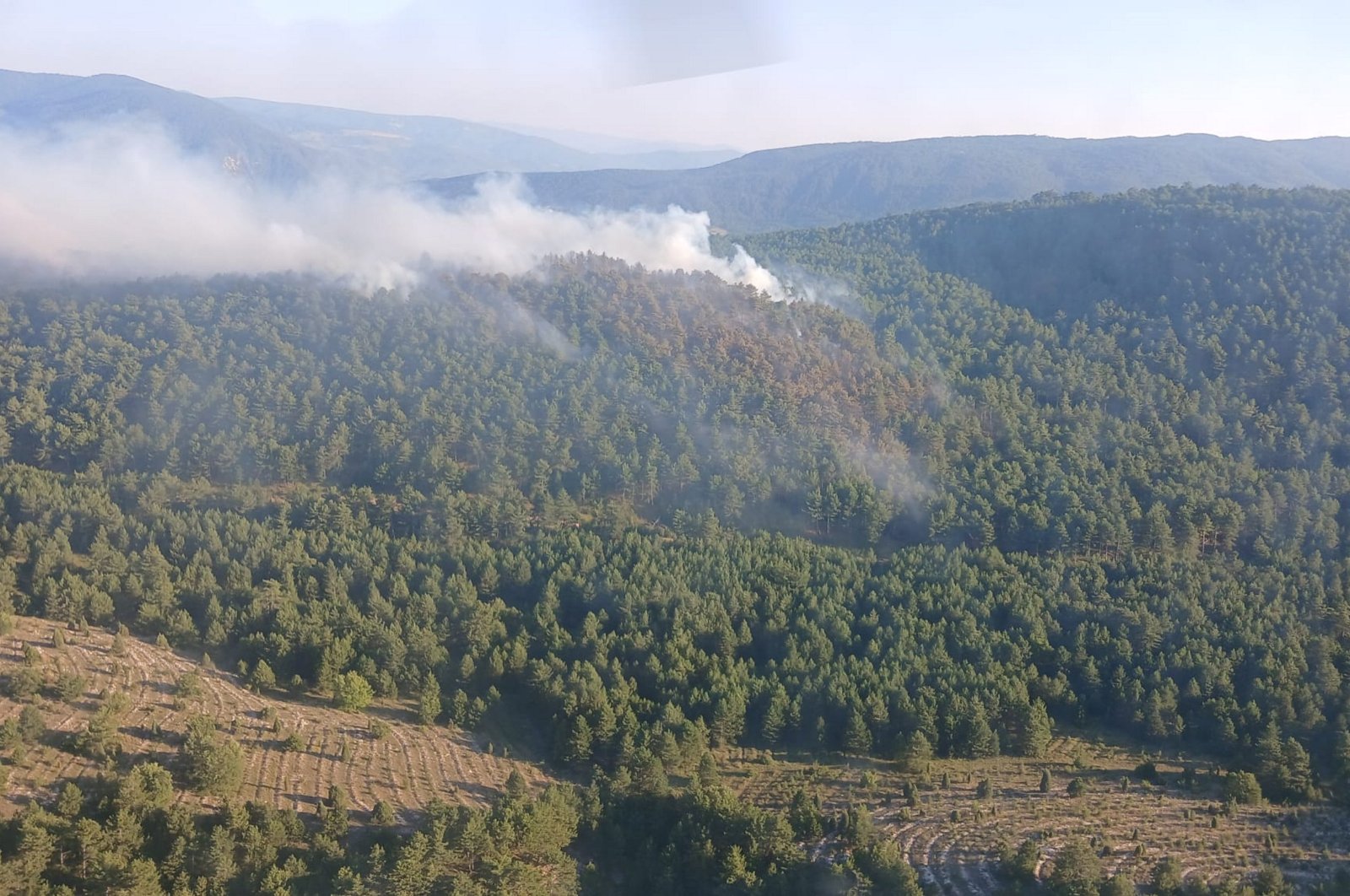 A fire in the forested area of Kale and Zopran villages harmed trees and vegetation, Karabük, Türkiye, July 22, 2024. (AA Photo) 