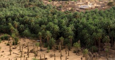 An aerial view of the date palms of M'heiret, a village located in the Adrar region in Mauritania, June 22, 2024. (AFP Photo)