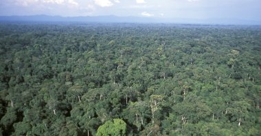 An international team of scientists led by Dr. Ernest Chi Fru from Cardiff University examined rocks around formations known as the "Franceville biota," discovered 10 years ago in Franceville, to determine whether they contain nutrients like oxygen and phosphorus that could support life. (Getty Images Photo)