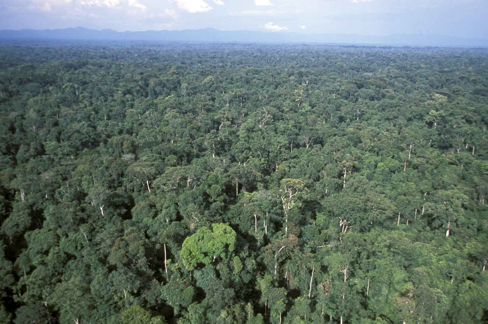 An international team of scientists led by Dr. Ernest Chi Fru from Cardiff University examined rocks around formations known as the &quot;Franceville biota,&quot; discovered 10 years ago in Franceville, to determine whether they contain nutrients like oxygen and phosphorus that could support life. (Getty Images Photo)