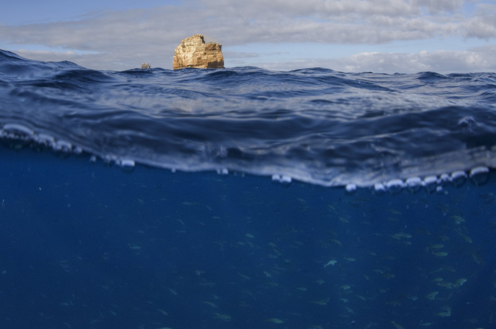 A piece of the edge of Darwin&#039;s Arch is visible in the ocean above Pacific creolefish off of Darwin Island, Galapagos, Ecuador, June 13, 2024. (AP Photo)