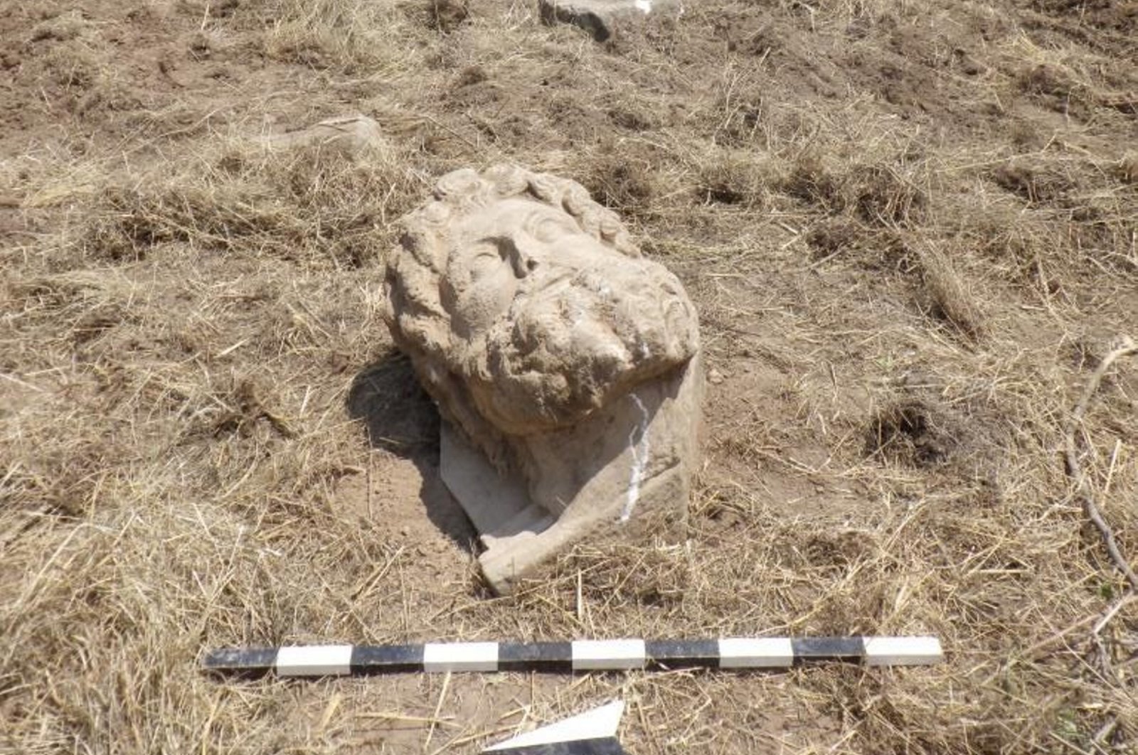 A colossal Zeus head is seen at the Aphrodisias Ancient City in Aydın, western Türkiye, July 30, 2024. (AA Photo)