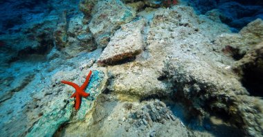 A view shows a part of the excavations of the Kumluca Middle Bronze Age Shipwreck, known as the world’s oldest known shipwreck, off the coast of Antalya, Türkiye, Aug. 1, 2024. (AA Photo)