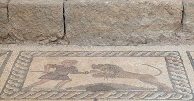 A mosaic showcases the struggle between a man and a lion, Antalya, Türkiye, July 31, 2024. (AA Photo)