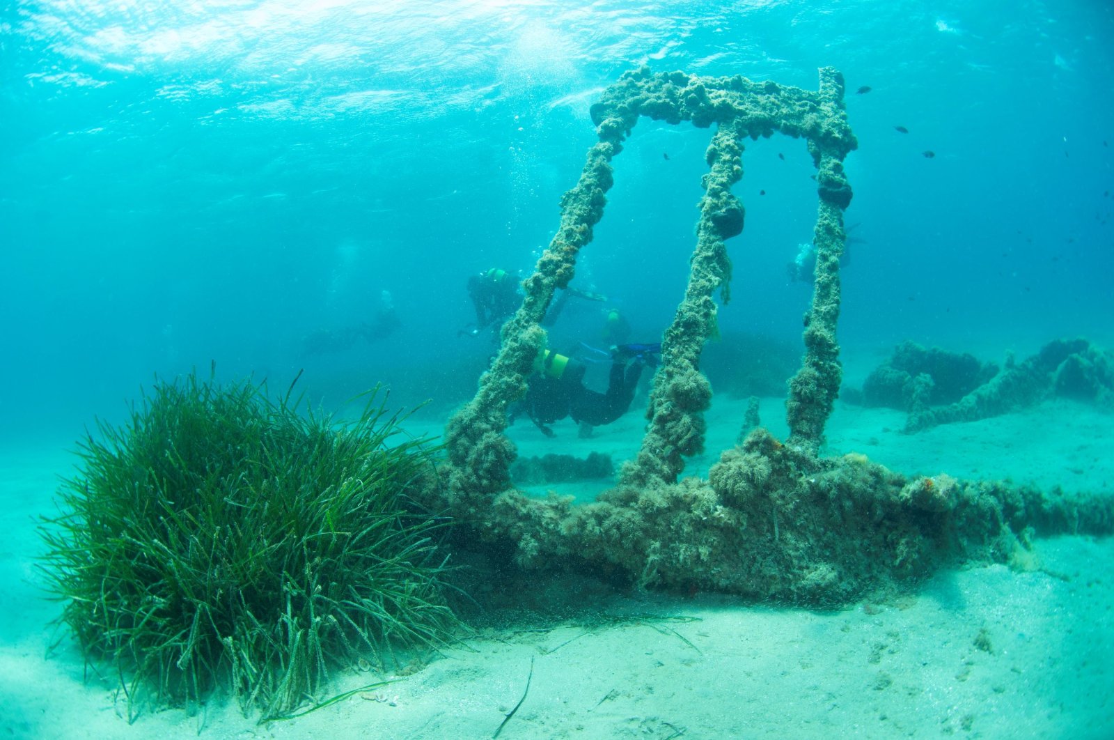 A wreck in the Gallipoli Historical Underwater Park, Çanakkale, northwestern Türkiye, July 2024. (Courtesy of Directorate of Gallipoli Historic Site)