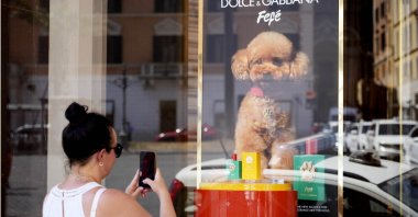 The new Dolce &amp; Gabbana dog perfume called "Fefe" in honor of Domenico Dolce's dog and released earlier this month is displayed on the shop window of the fashion's brand boutique, Rome, Italy, Aug. 6, 2024. (AP Photo)