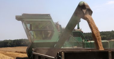 A combine loads grain into a truck during a wheat harvest in a field in the Kyiv region, Ukraine, July 16, 2024. (AFP Photo)