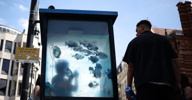 A pedestrian stops to look at an artwork by street artist Banksy, the seventh released this week, depicting fish swimming around a Police Box, City of London, U.K., Aug. 11, 2024. (AFP Photo)