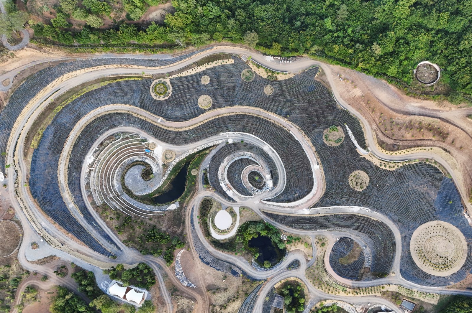 Bosnian Entrepreneur Transforms Land Into Van Gogh-inspired Nature Park ...