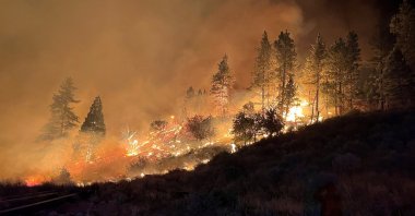Smoke rises as vegetation burns amid the Gold Ranch fire in Verdi, Nevada, U.S., Aug. 11, 2024. (Reuters Photo)