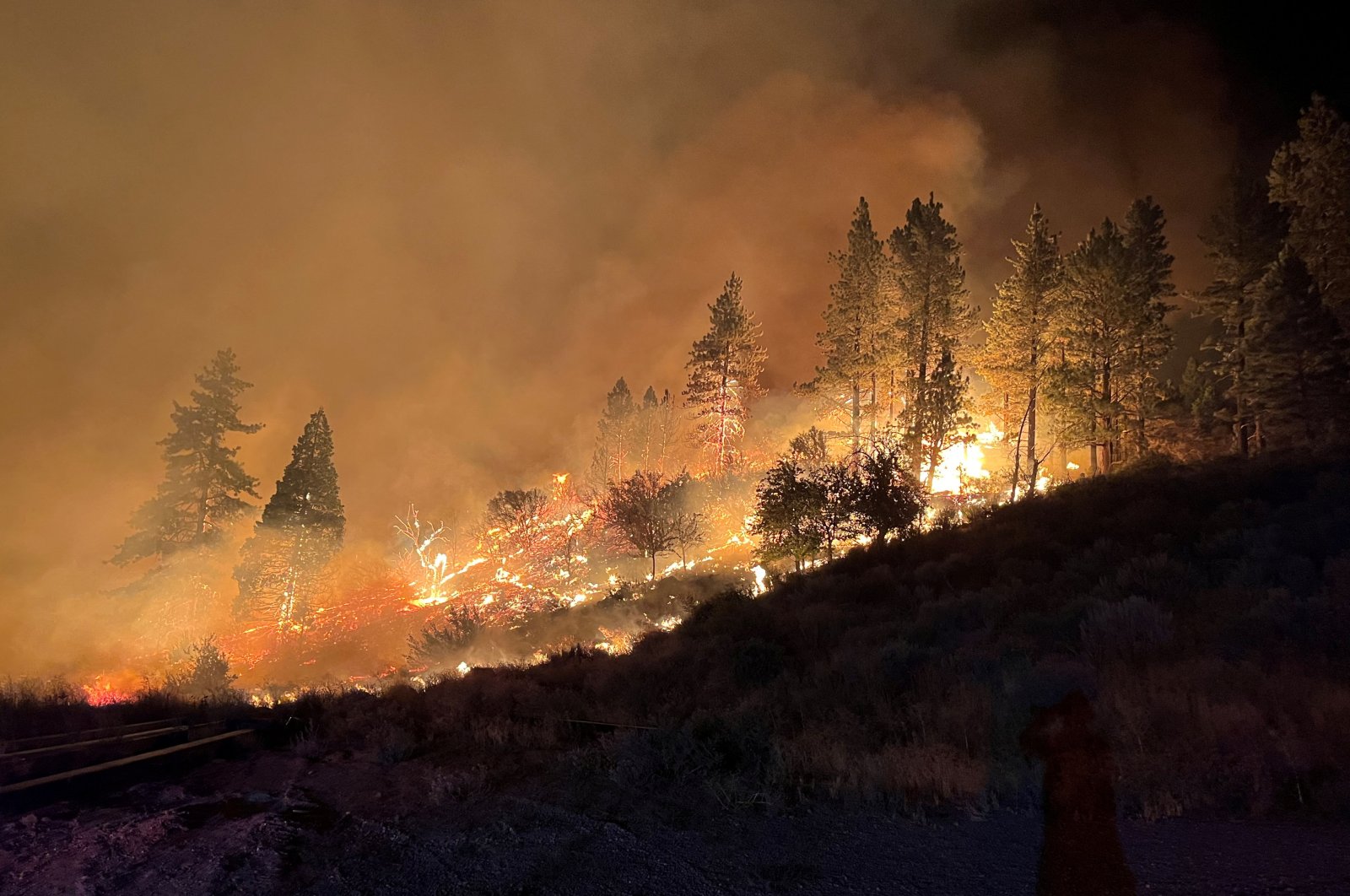 Smoke rises as vegetation burns amid the Gold Ranch fire in Verdi, Nevada, U.S., Aug. 11, 2024. (Reuters Photo)