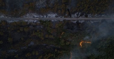 Aerial View of the Menderes Forest Fire in Izmir, Türkiye, Aug. 17, 2024. (AA Photo) 