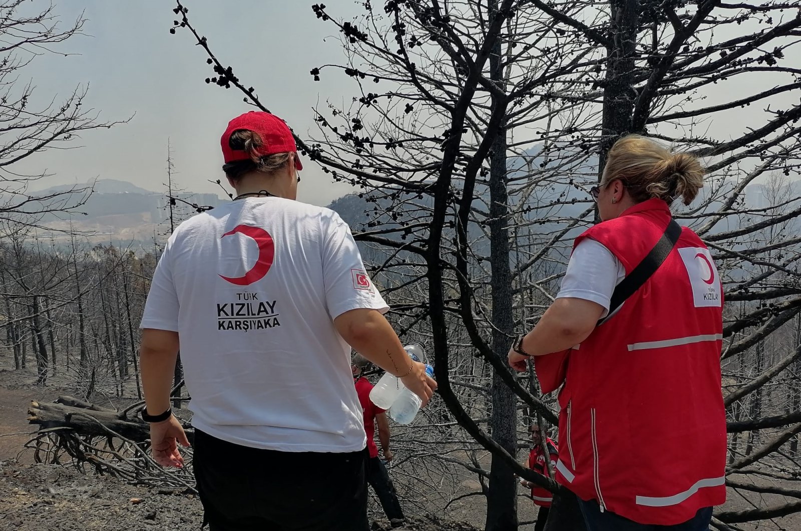 The Turkish Red Crescent team provides support at wildfire locations, Izmir, Türkiye, Aug. 17, 2024. (DHA Photo) 