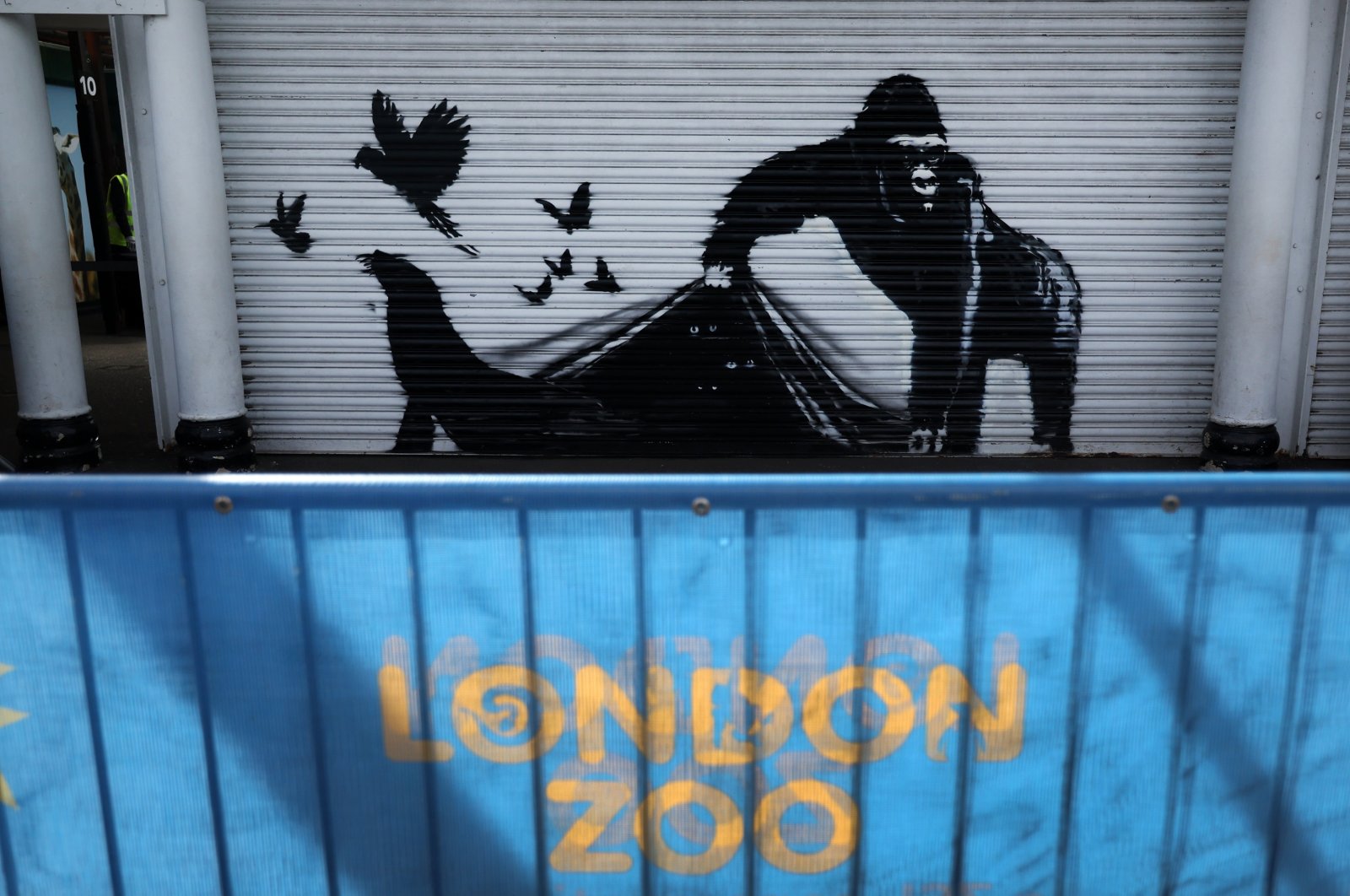 The ninth confirmed animal Banksy artwork, at the London Zoo in Camden, London, U.K., Aug. 13, 2024. (EPA Photo)