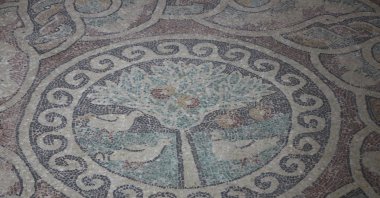 In Amasya, known for its delicious Amasya apple, a 1,700-year-old apple mosaic displayed in the museum stands out as the only ancient mosaic featuring this fruit tree, Amasya, Türkiye, Aug. 20, 2024. (IHA Photo)
