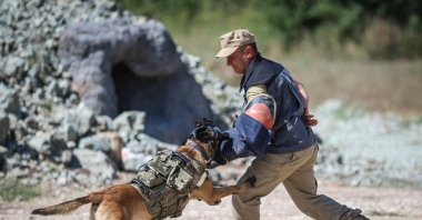 Trainers of the Turkish Armed Forces introduce dogs to the Remote Command Control System, Bursa, Türkiye, Aug. 14, 2024. (AA Photo)