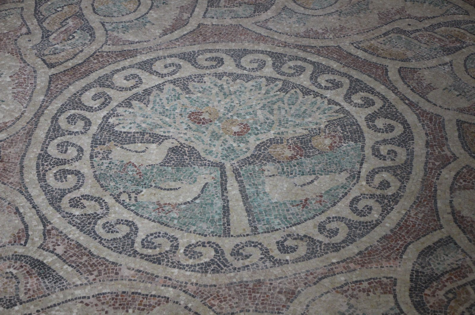 The world’s only mosaic with an apple tree is located in Amasya, Turkey