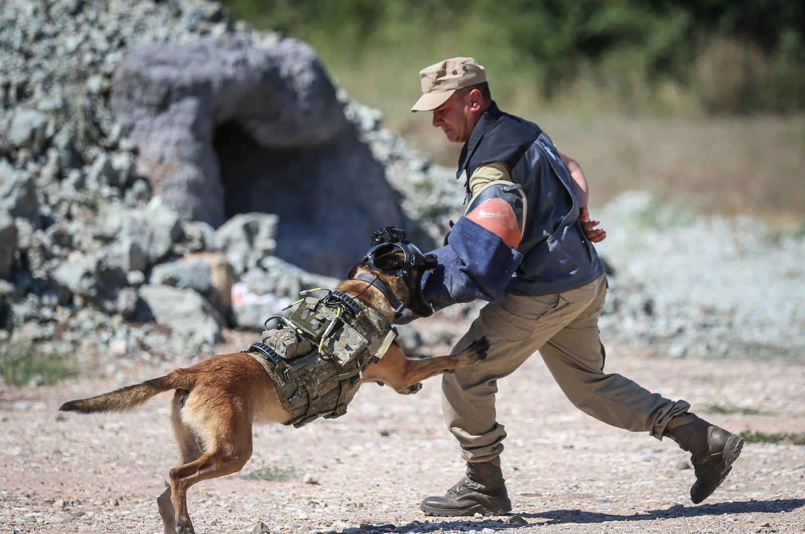 Trainers of the Turkish Armed Forces introduce dogs to the Remote Command Control System, Bursa, Türkiye, Aug. 14, 2024. (AA Photo)