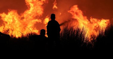 Firefighters try to extinguish a wildfire burning in Dionysos, Greece, Aug. 12, 2024. (Reuters Photo)