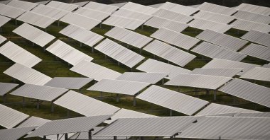 Some of them 30 hectares (74 acres) of solar panels at the Williamsdale Solar Farm, south of Canberra, Australia, June 29, 2020. (AP Photo)