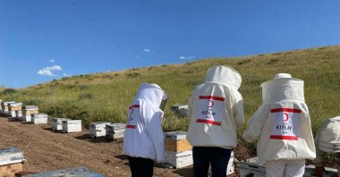 Turkish Red Crescent&#039;s (Kızılay) team in honey fields, Ağrı, Türkiye, Aug. 19, 2024. (AA Photo)