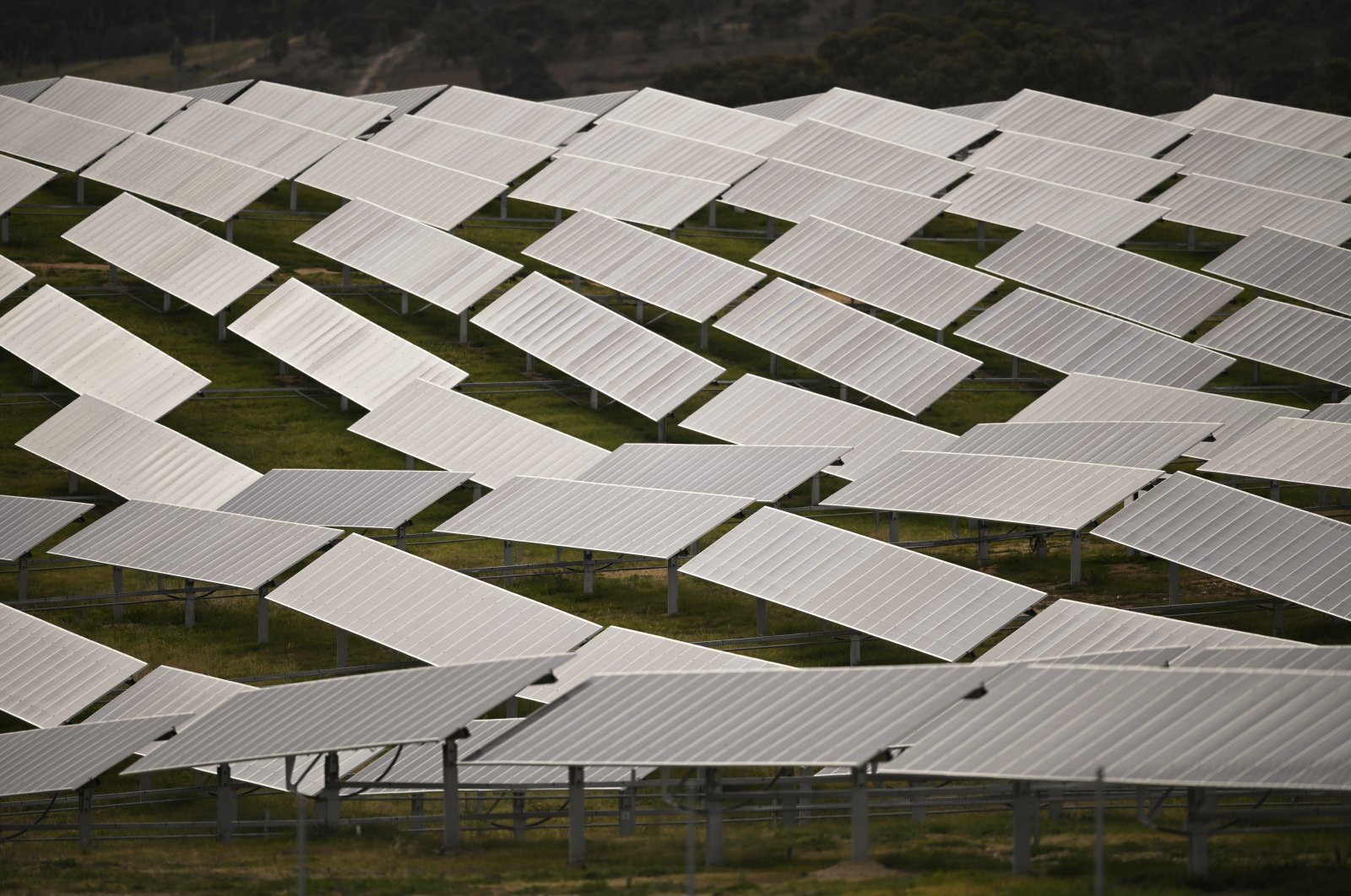 Some of them 30 hectares (74 acres) of solar panels at the Williamsdale Solar Farm, south of Canberra, Australia, June 29, 2020. (AP Photo)