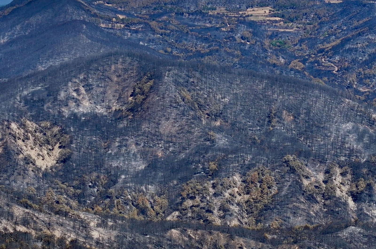 The mountain after it was mostly burned and controlled, Bolu, Türkiye, Aug. 21, 2024. (AA Photo)