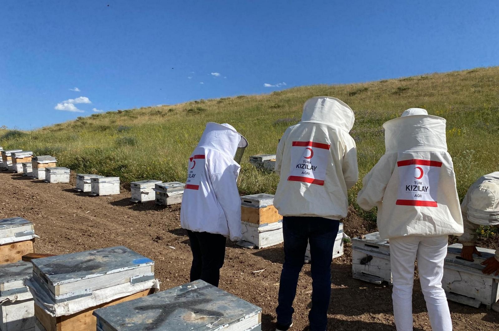 Turkish Red Crescent&#039;s (Kızılay) team in honey fields, Ağrı, Türkiye, Aug. 19, 2024. (AA Photo)