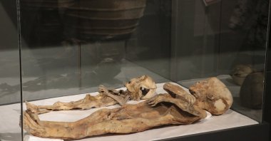 Two child mummies from between the eighth and 13th century Eastern Roman Period are on display at the Kayseri Archaeology Museum, Kayseri, central Türkiye, Aug. 22, 2024. (DHA Photo)