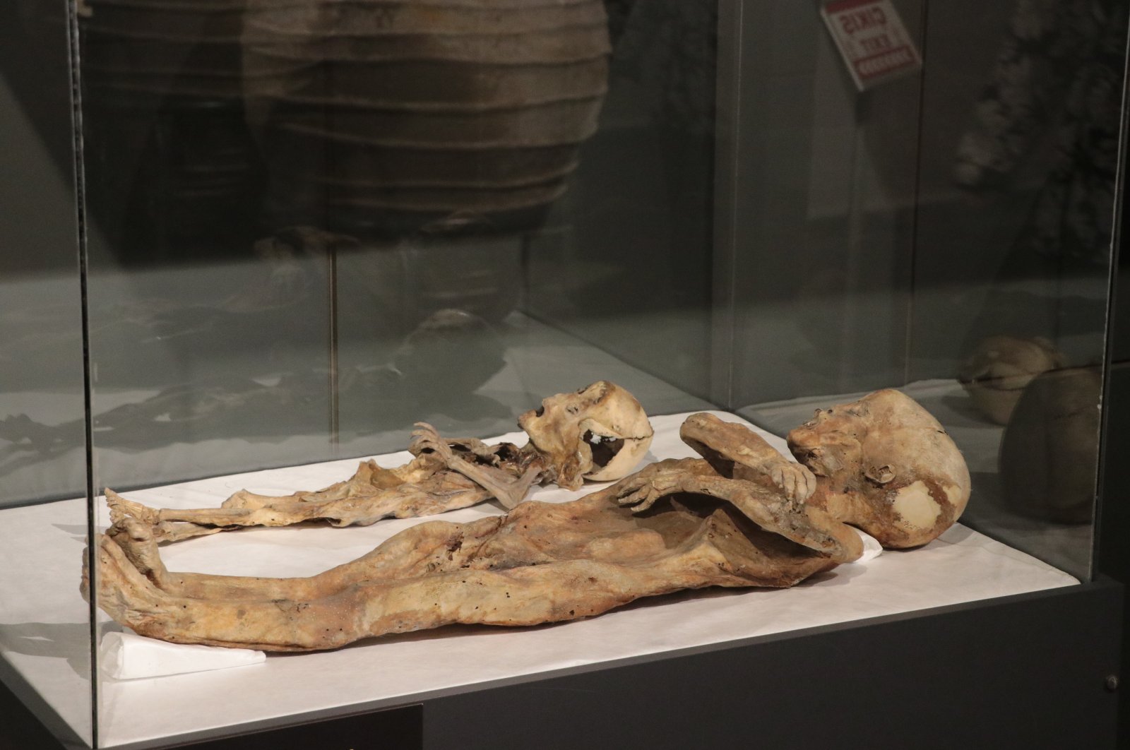 Two child mummies from between the eighth and 13th century Eastern Roman Period are on display at the Kayseri Archaeology Museum, Kayseri, central Türkiye, Aug. 22, 2024. (DHA Photo)