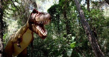 A animatronic dinosaur at Dinopark in Antalya, southern Türkiye, Aug. 27, 2024. (AA Photo)