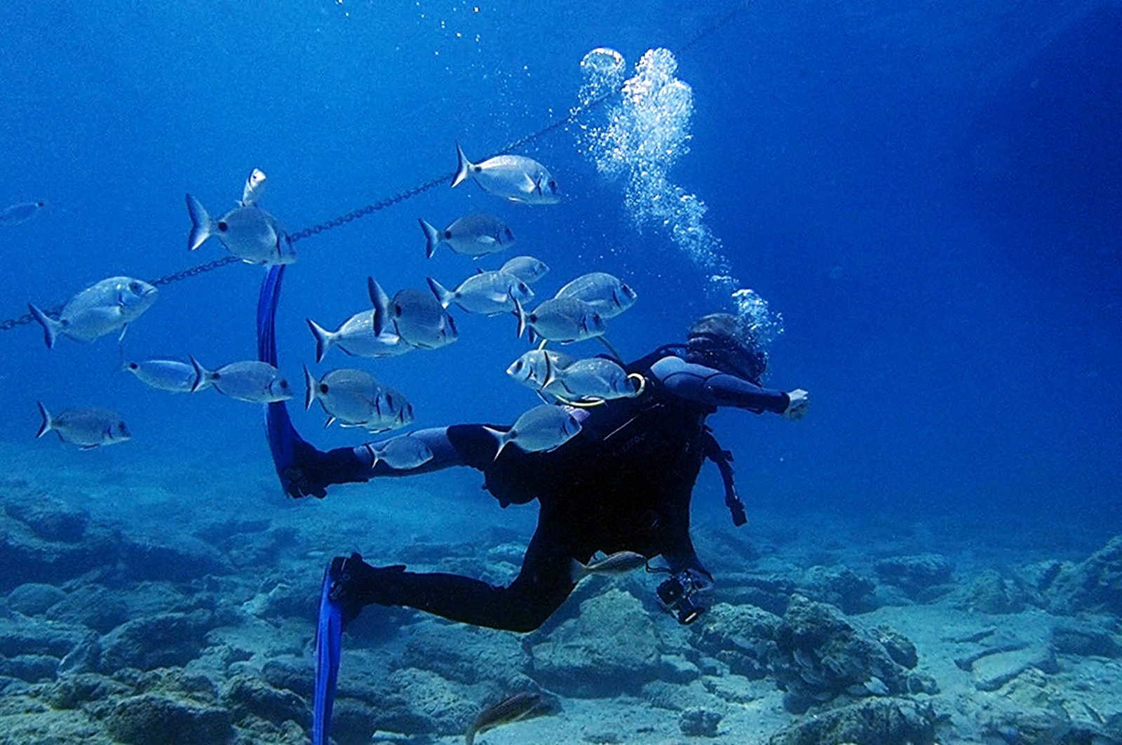 A diver enjoys the underwater experience in Bodrum, Muğla, southwestern Türkiye, Aug. 26, 2024. (AA Photo)