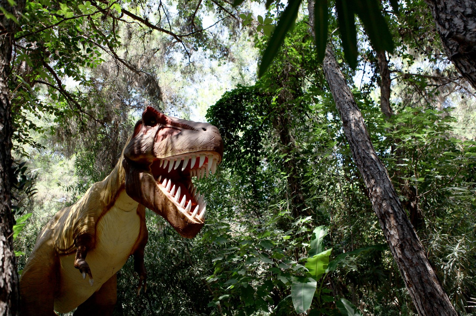 A animatronic dinosaur at Dinopark in Antalya, southern Türkiye, Aug. 27, 2024. (AA Photo)