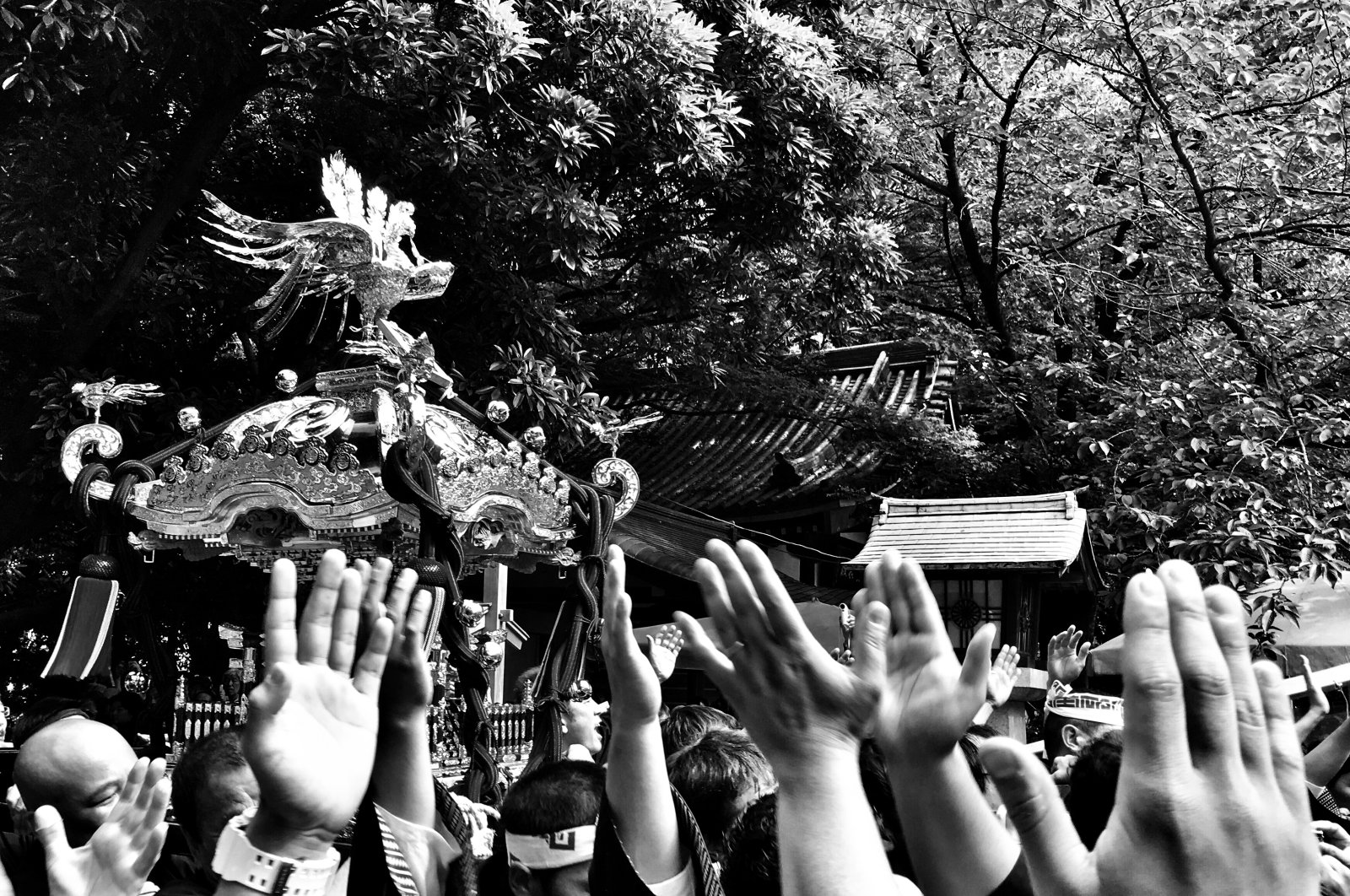 &quot;Echoes of Japan: The Art of Urban and Natural Contrasts” features a curated selection of black-and-white photographs captured with an analog camera during Beste Aykut’s residence in Japan, Istanbul, Türkiye, Aug. 23, 2024. (Photo courtesy of Beste Aykut)