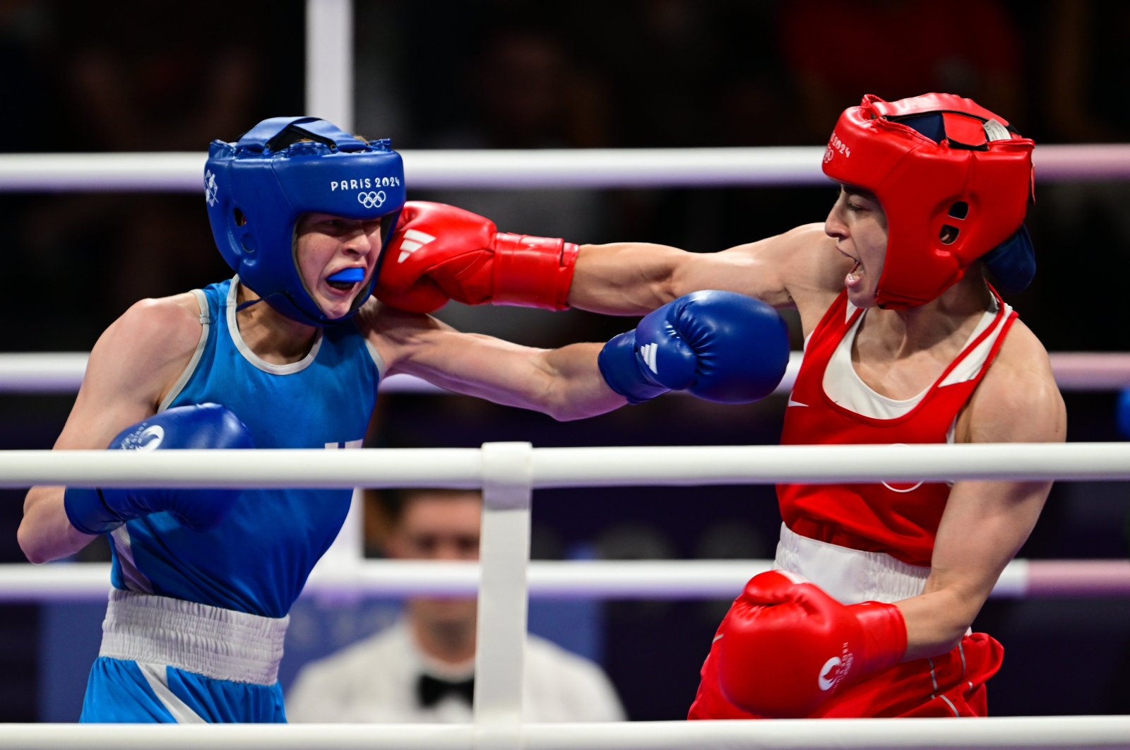 Turkish Boxing Federation rides wave of change, eyes Olympic gold