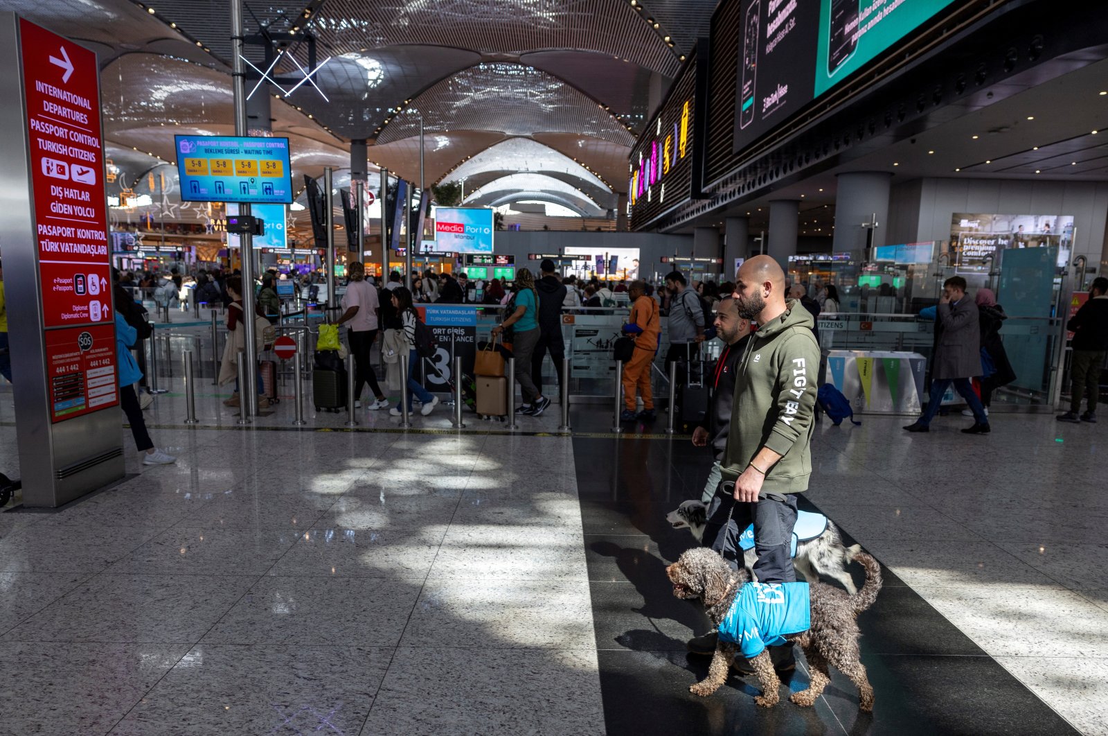 Therapy dogs roam Istanbul Airport, searching for stressed passengers who are looking to calm their nerves before they board their flight in Istanbul, Türkiye, March 11, 2024. (Reuters Photo)