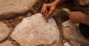 An expert examines a major discovery made at Karahantepe, one of the most significant Neolithic settlements, a depiction of a running wild donkey found on the floor of a hut, Şanlıurfa, Türkiye, Aug. 29, 2024. (DHA Photo)