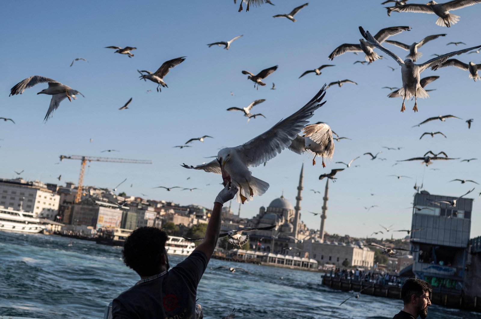 A man feeds seagulls on the Galata Bridge opposite the Yeni Mosque in the Karaköy area of Istanbul, Türkiye, Aug. 6, 2024. (AFP Photo)