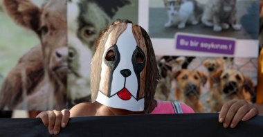 An animal rights activist wears a dog mask while taking part in a rally to protest an animal protection law, Istanbul, Türkiye, Sept. 1, 2024. (Reuters Photo)