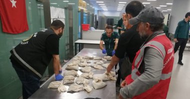 The seized live medicinal leeches smuggled into Türkiye at Istanbul Airport, Istanbul, Türkiye, Sept. 3, 2024. (IHA Photo)