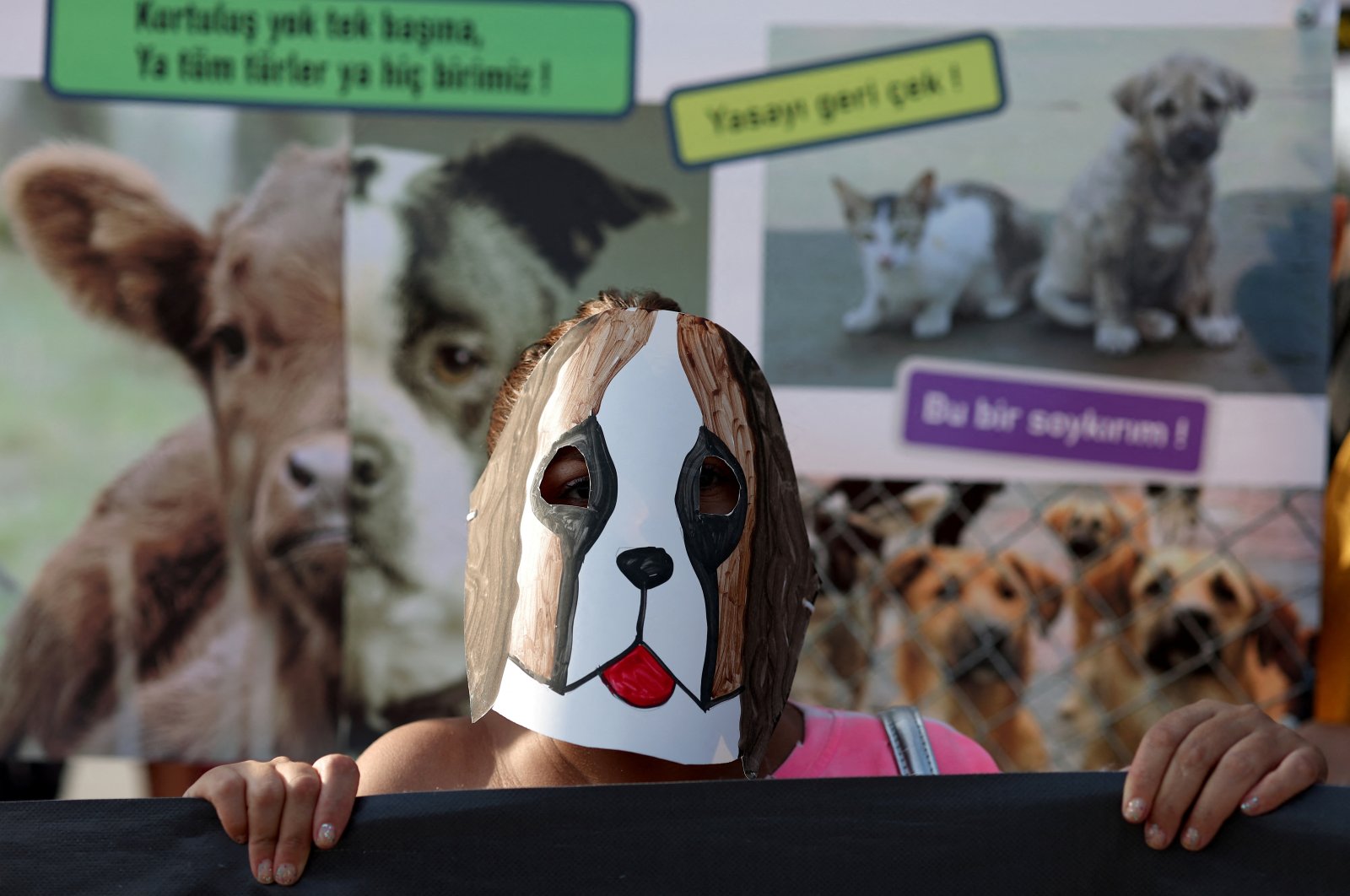 An animal rights activist wears a dog mask while taking part in a rally to protest an animal protection law, Istanbul, Türkiye, Sept. 1, 2024. (Reuters Photo)