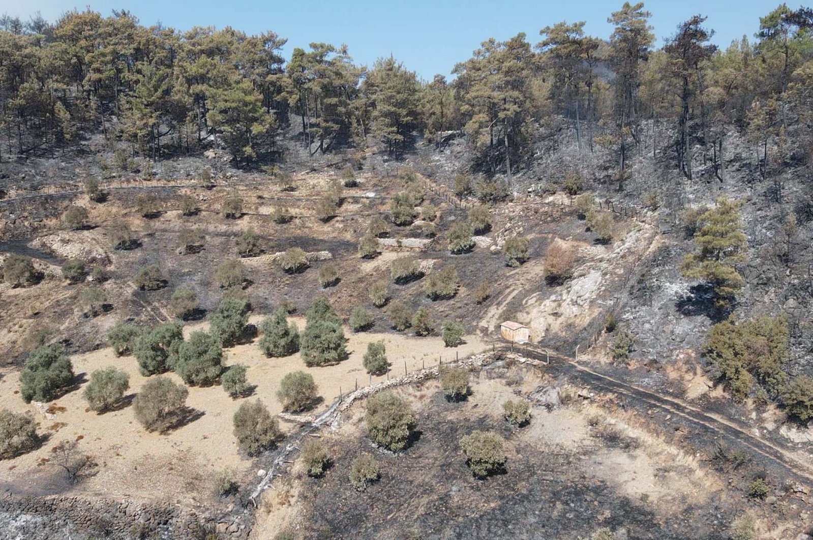 An aerial view shows the burned mountains in Menteşe, Muğla, Türkiye, Sept. 9, 2024. (AA Photo)