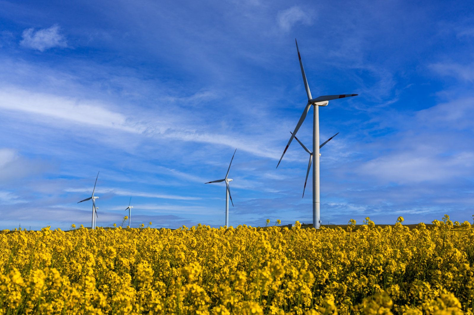 Windmills are seen against a field in this undated photo, Silivri, Istanbul, Türkiye. (Getty Images Photo)
