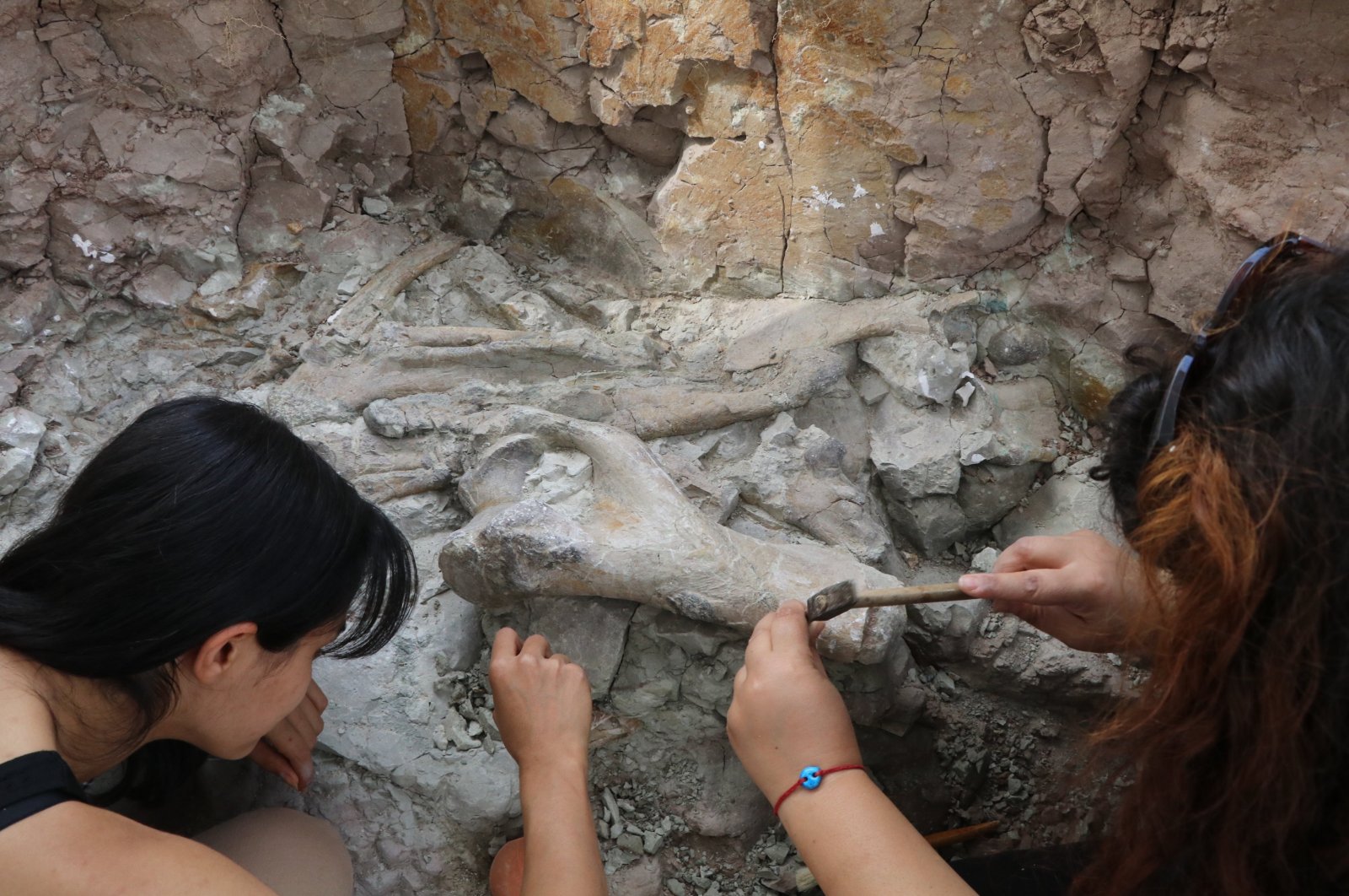 Archaeologists work on elephant bones in Çankırı, Türkiye, Sept. 10, 2024. (AA Photo)